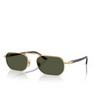 Occhiali da sole Persol PO1020S 515/31 gold - anteprima prodotto 2/4