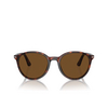 Persol PO3350S Sunglasses 24/57 havana - product thumbnail 1/4