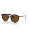 Gafas de sol Persol PO3350S 24/57 havana - Miniatura del producto 2/4