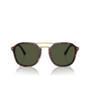 Persol PO3352S Sunglasses 24/31 havana - product thumbnail 1/4