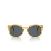 Lunettes de soleil Persol PO3355S 204/R5 miele - Vignette du produit 1/4