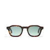 Occhiali da sole Peter And May HERO SUN T46 TORTOISE - anteprima prodotto 1/3