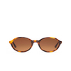 Peter And May IT'S A GIRL SUN Sunglasses HAVANA - product thumbnail 1/3