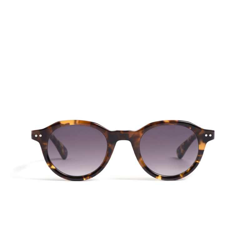 Peter And May LANDO SUN Sunglasses MELTED TORTOISE - 1/3