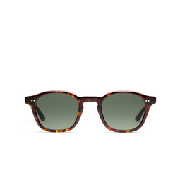 Peter And May PM PALACE SUN Sunglasses TORTOISE