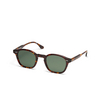 Peter And May PM PALACE SUN Sunglasses TORTOISE - product thumbnail 2/3