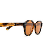 Lunettes de soleil Peter And May SKY MELTED TORTOISE - Vignette du produit 3/4