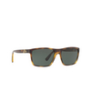 Lunettes de soleil Polo Ralph Lauren PH4133 500371 shiny transparent dark havana - Vignette du produit 2/3