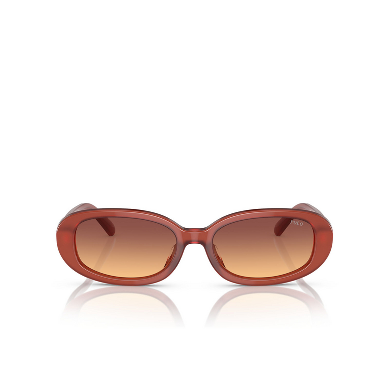 Gafas de sol Polo Ralph Lauren PH4198U 619478 opal cognac - 1/3