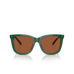 Gafas de sol Polo Ralph Lauren PH4201U 619573 shiny transparent green