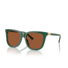 Lunettes de soleil Polo Ralph Lauren PH4201U 619573 shiny transparent green - Vignette du produit 2/3