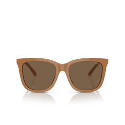 Gafas de sol Polo Ralph Lauren PH4201U 619673 shiny brown