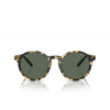 Polo Ralph Lauren PH4204U Sunglasses 500471 - product thumbnail 1/3