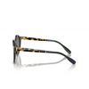 Lunettes de soleil Polo Ralph Lauren PH4204U 500471 - Vignette du produit 3/3