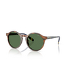 Polo Ralph Lauren PH4204U Sonnenbrillen 562571 shiny brown tortoise - Produkt-Miniaturansicht 2/3