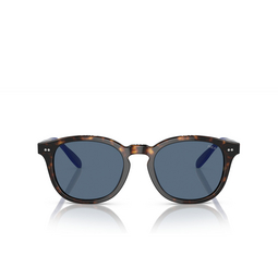 Gafas de sol Polo Ralph Lauren PH4206 614580 shiny havana