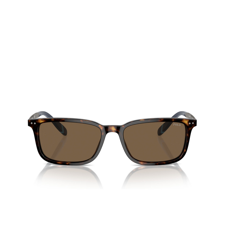 Gafas de sol Polo Ralph Lauren PH4212 500373 shiny dark havana - 1/3