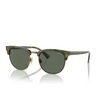 Polo Ralph Lauren PH4217 Sunglasses 543671 shiny green havana - product thumbnail 2/3