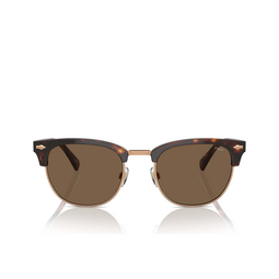 Lunettes de soleil Polo Ralph Lauren PH4217 613773 shiny brown tortoise