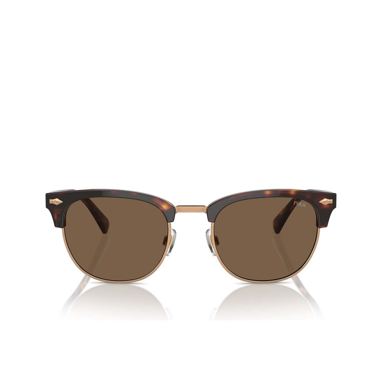 Gafas de sol Polo Ralph Lauren PH4217 613773 shiny brown tortoise - 1/3