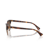 Lunettes de soleil Polo Ralph Lauren PH4217 613773 shiny brown tortoise - Vignette du produit 3/3