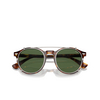 Polo Ralph Lauren PH4218 Sunglasses 613771 shiny brown tortoise - product thumbnail 2/4