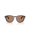 Polo Ralph Lauren PH4221 Sonnenbrillen 613773 shiny brown tortoise - Produkt-Miniaturansicht 1/3