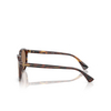 Polo Ralph Lauren PH4221 Sonnenbrillen 613773 shiny brown tortoise - Produkt-Miniaturansicht 3/3