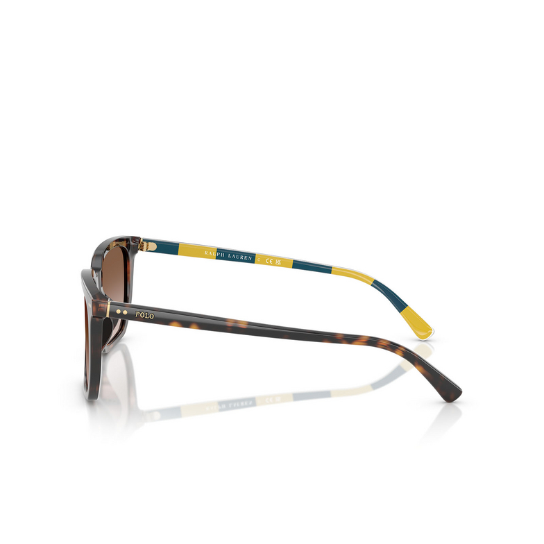 Lunettes de soleil Polo Ralph Lauren PH4224U 500313 shiny dark havana - 3/3