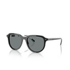 Gafas de sol Polo Ralph Lauren PH4225 500181 shiny black - Miniatura del producto 2/3