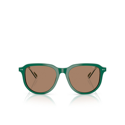 Gafas de sol Polo Ralph Lauren PH4225 542173 shiny dark green