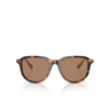 Lunettes de soleil Polo Ralph Lauren PH4225 613773 shiny dark havana - Vignette du produit 1/3