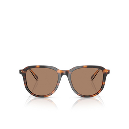 Gafas de sol Polo Ralph Lauren PH4225 613773 shiny dark havana