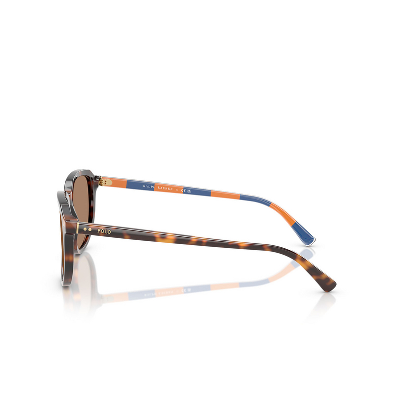 Lunettes de soleil Polo Ralph Lauren PH4225 613773 shiny dark havana - 3/3