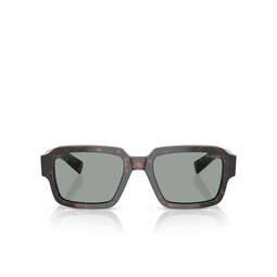 Prada PR 02ZS Sunglasses 17N20N root tortoise