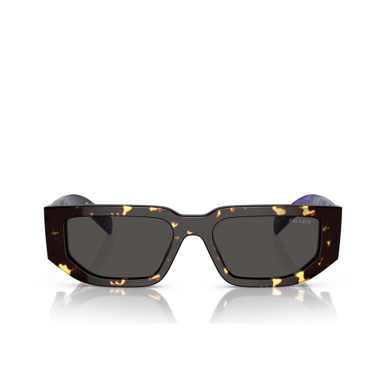 Prada PR 09ZS Sunglasses 16R5S0 tortoise black malt - 1/4