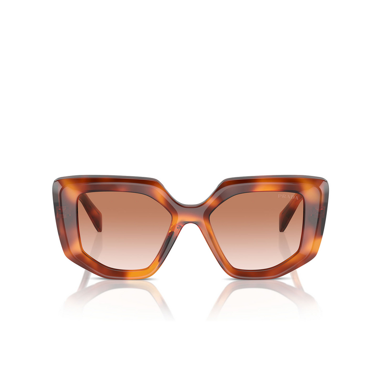 Prada PR 14ZS Sunglasses 18R70E cognac tortoise - 1/4