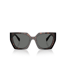 Prada PR 15WS Sunglasses 24B40L root / black