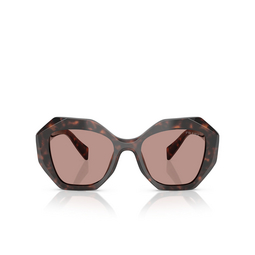 Gafas de sol Prada PR 16WS 17N60B root tortoise