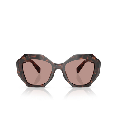 Prada PR 16WS Sonnenbrillen 17N60B root tortoise - Vorderansicht