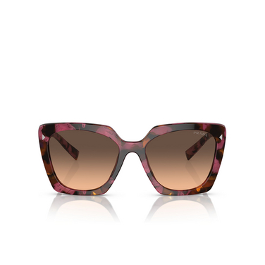 Prada PR 23ZS Sunglasses 18N50C begonia cognac tortoise - front view