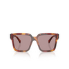 Prada PR 24ZS Sonnenbrillen 22A20I poppy tortoise - Produkt-Miniaturansicht 1/4