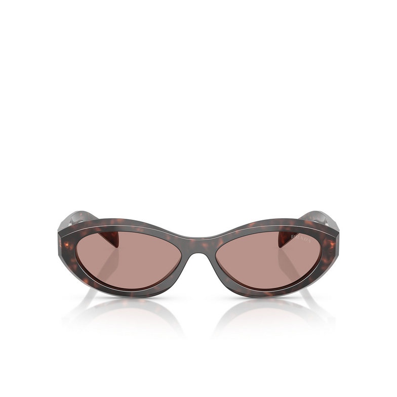 Prada PR 26ZS Sunglasses 17N60B root tortoise - 1/4