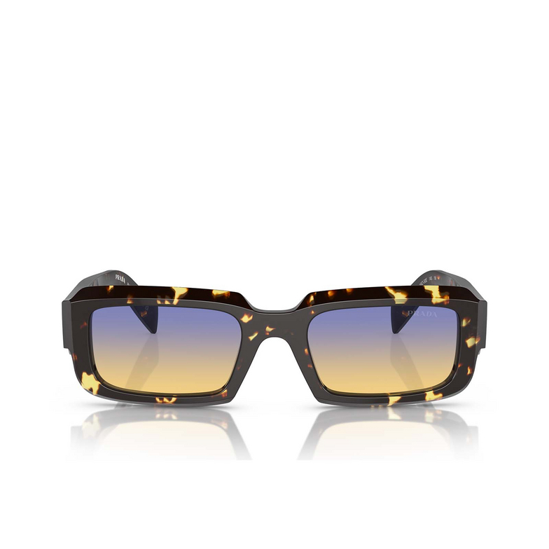 Prada PR 27ZS Sunglasses 16O50E black malt tortoise - 1/4