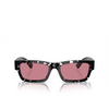 Prada PR A03S Sunglasses 15O70C havana black transparent - product thumbnail 1/4