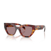 Occhiali da sole Prada PR A09S 22A20I poppy tortoise - anteprima prodotto 2/4