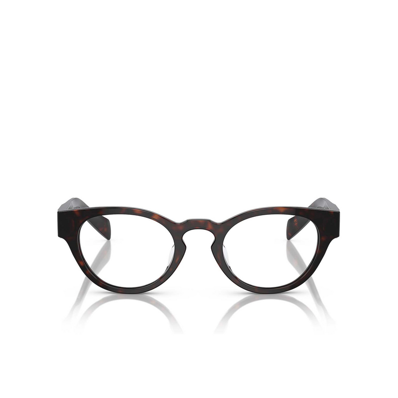 Prada PR A11VD Eyeglasses 16N1O1 briar tortoise - 1/4