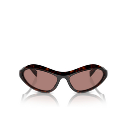 Prada PR A20S Sonnenbrillen 17N10D root tortoise