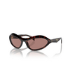 Prada PR A20S Sonnenbrillen 17N10D root tortoise - Produkt-Miniaturansicht 2/4