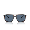Prada PR A22S Sunglasses 17N06A radica tortoise - product thumbnail 1/4